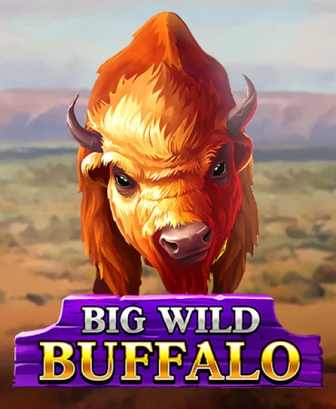 Play Big Wild Buffalo at Mount Gold Casino